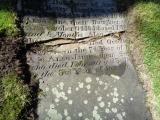 image of grave number 947549